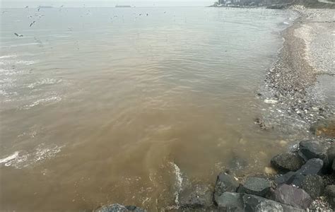 İstanbulda denize akan kanalizasyon suyu kirliliğe neden oldu